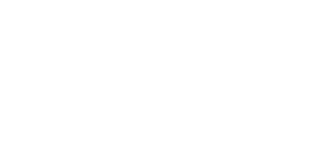 copper bull